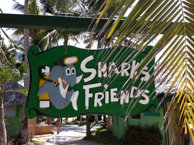 Nuestro local en Tulum